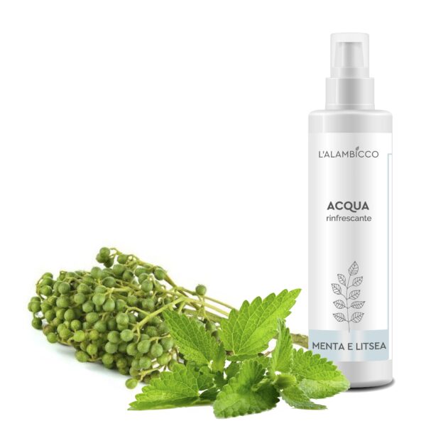 ACQUA PROFUMATA RINFRESCANTE MENTA E LITSEA 100 ml
