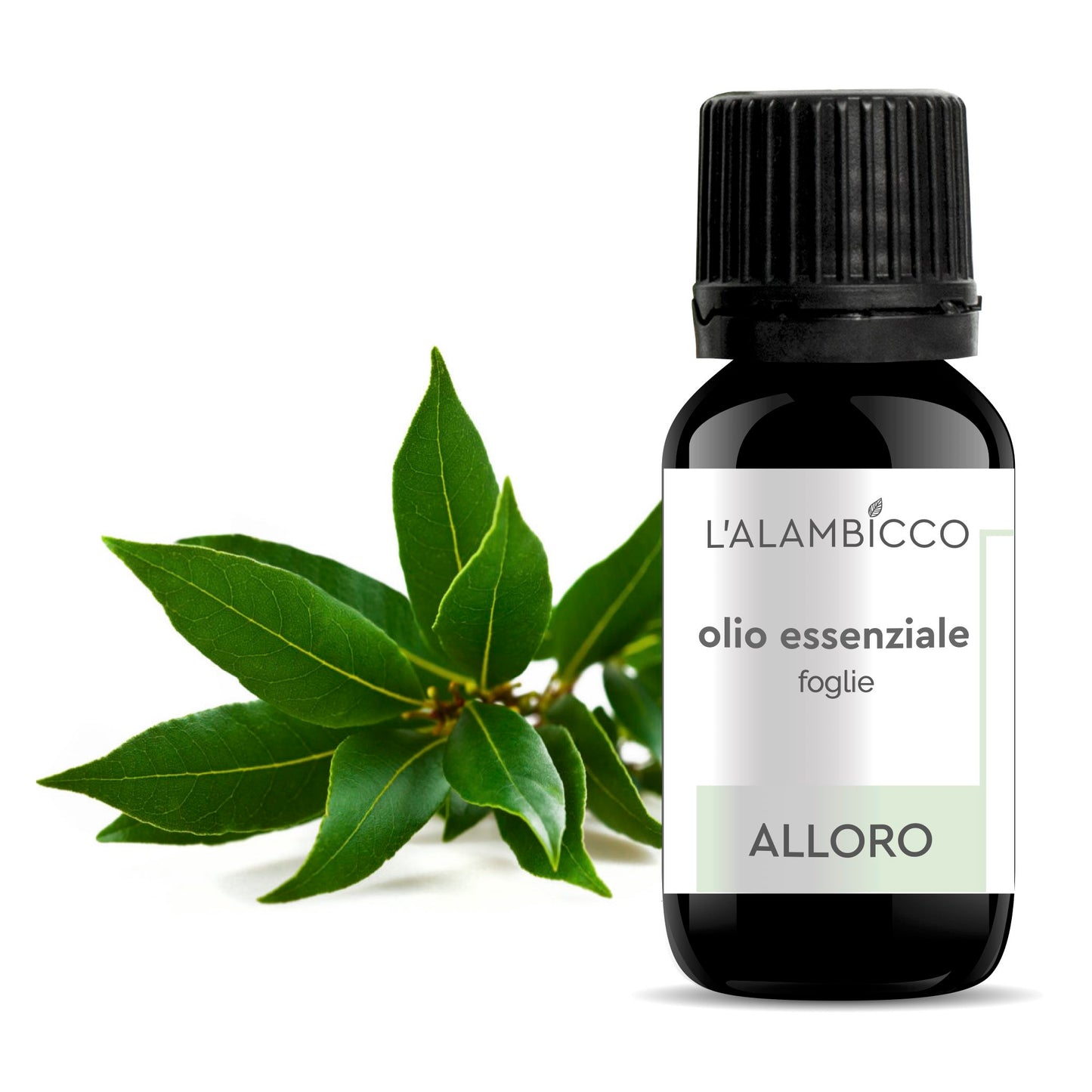 OLIO ESSENZIALE DI ALLORO - 10 ML