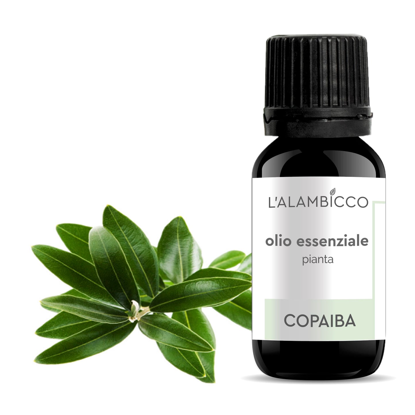 OLIO ESSENZIALE DI COPAIBA - 10 ML