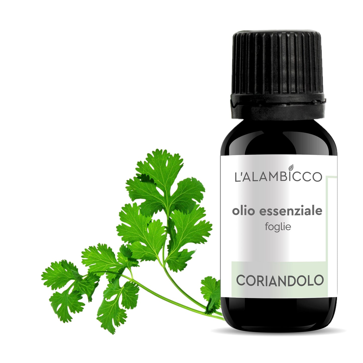 OLIO ESSENZIALE DI CORIANDOLO - 10 ML