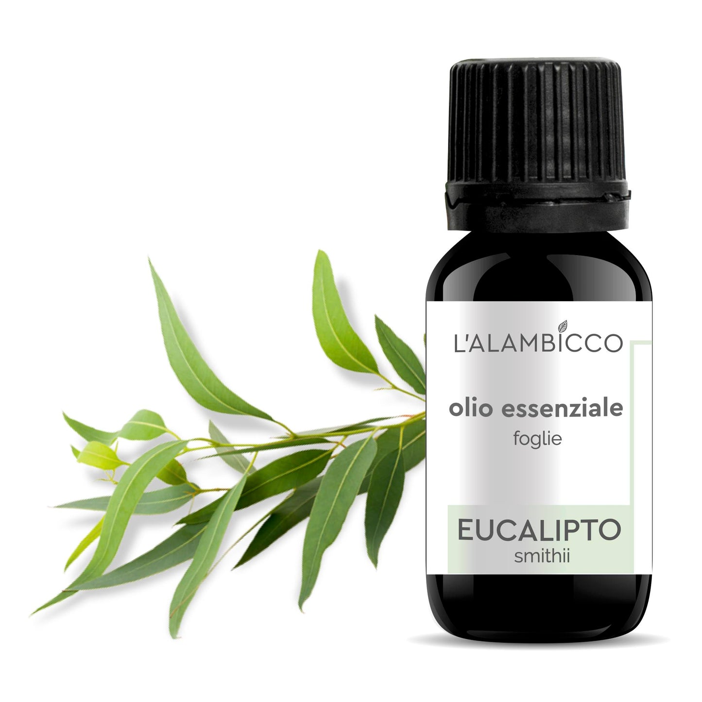 OLIO ESSENZIALE DI EUCALIPTO SMITHII 10 ML