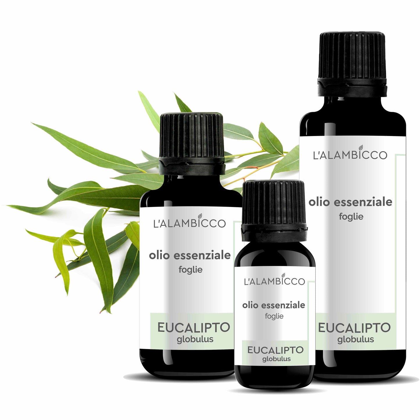 OLIO ESSENZIALE DI EUCALIPTO GLOBULUS