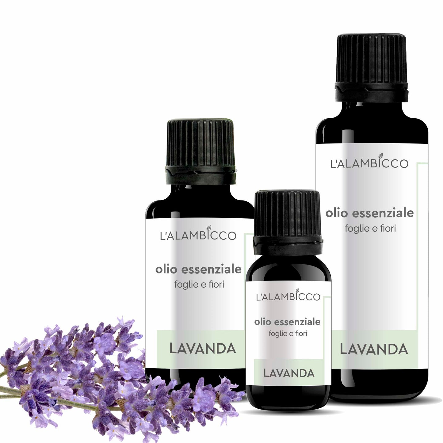 OLIO ESSENZIALE DI LAVANDA