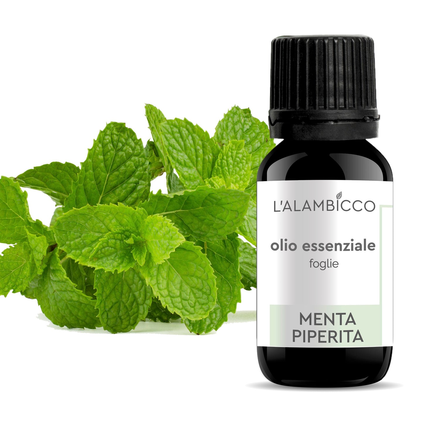 OLIO ESSENZIALE DI MENTA PIPERITA 10 ML