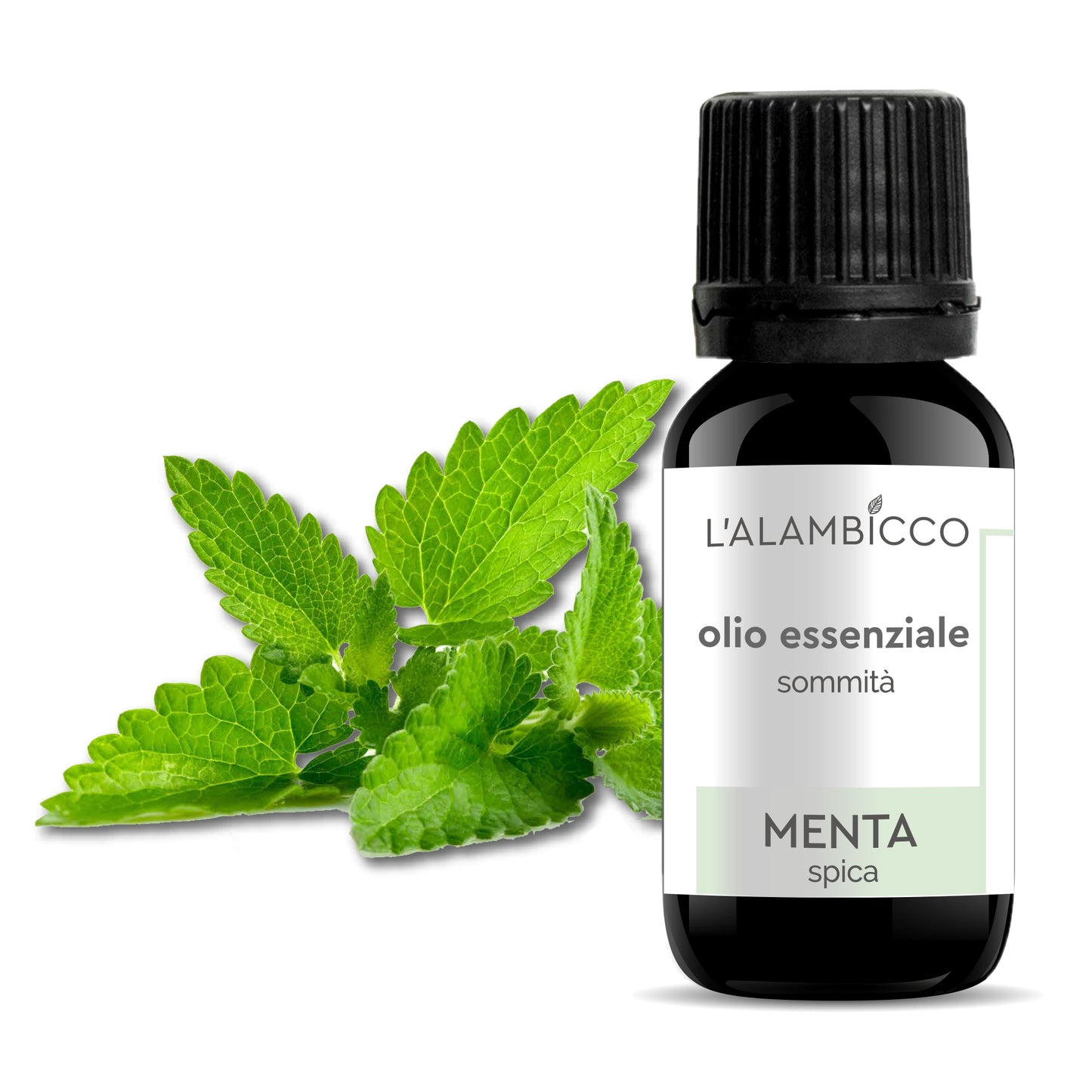 OLIO ESSENZIALE DI MENTA SPICA 10 ML