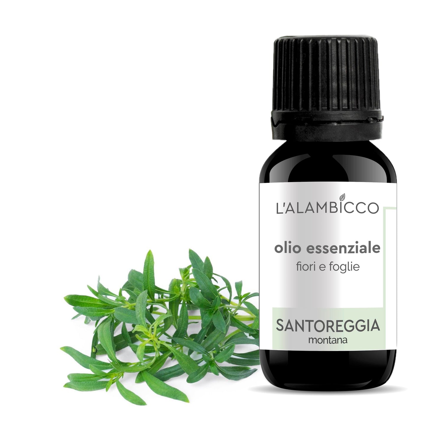 OLIO ESSENZIALE DI SANTOREGGIA - 10 ML