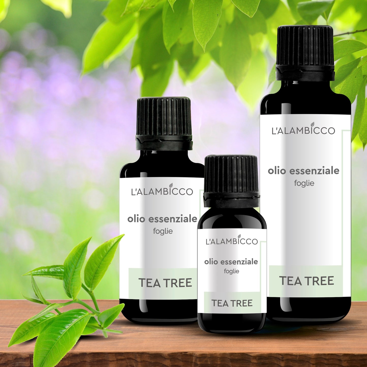 OLIO ESSENZIALE DI TEA TREE