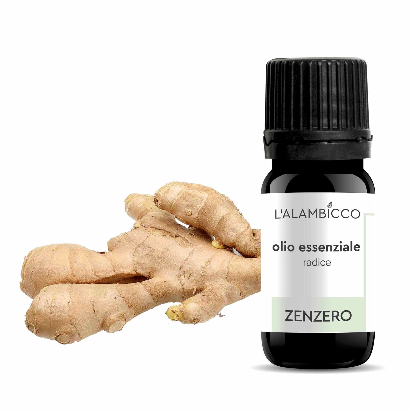 OLIO ESSENZIALE DI ZENZERO 5 ML