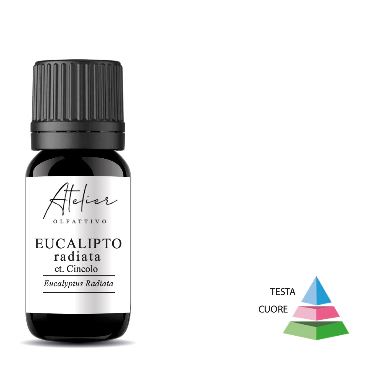 OLIO ESSENZIALE DI EUCALIPTO RADIATA 10 ML