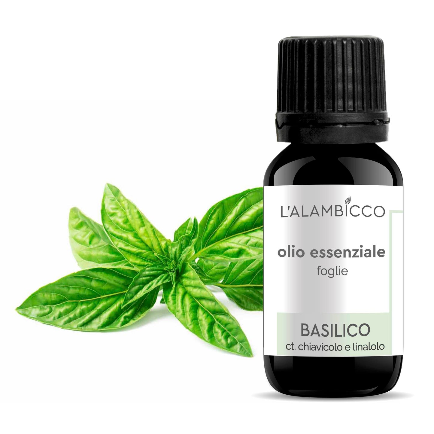 OLIO ESSENZIALE DI BASILICO - CT. CHIAVICOLO E LINALOLO - 10 ML