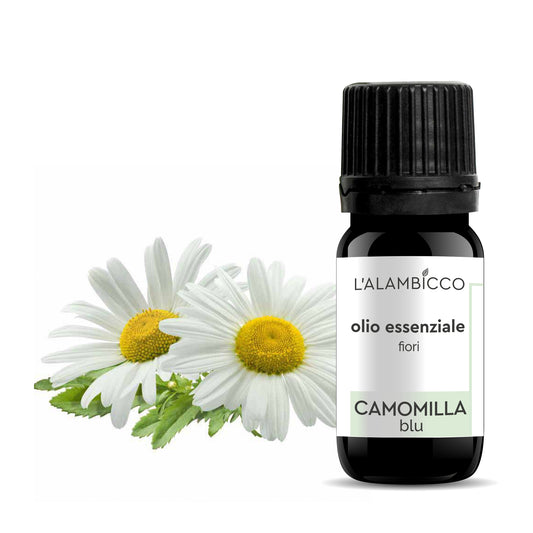 OLIO ESSENZIALE DI CAMOMILLA BLU (GERMAN) 5 ML