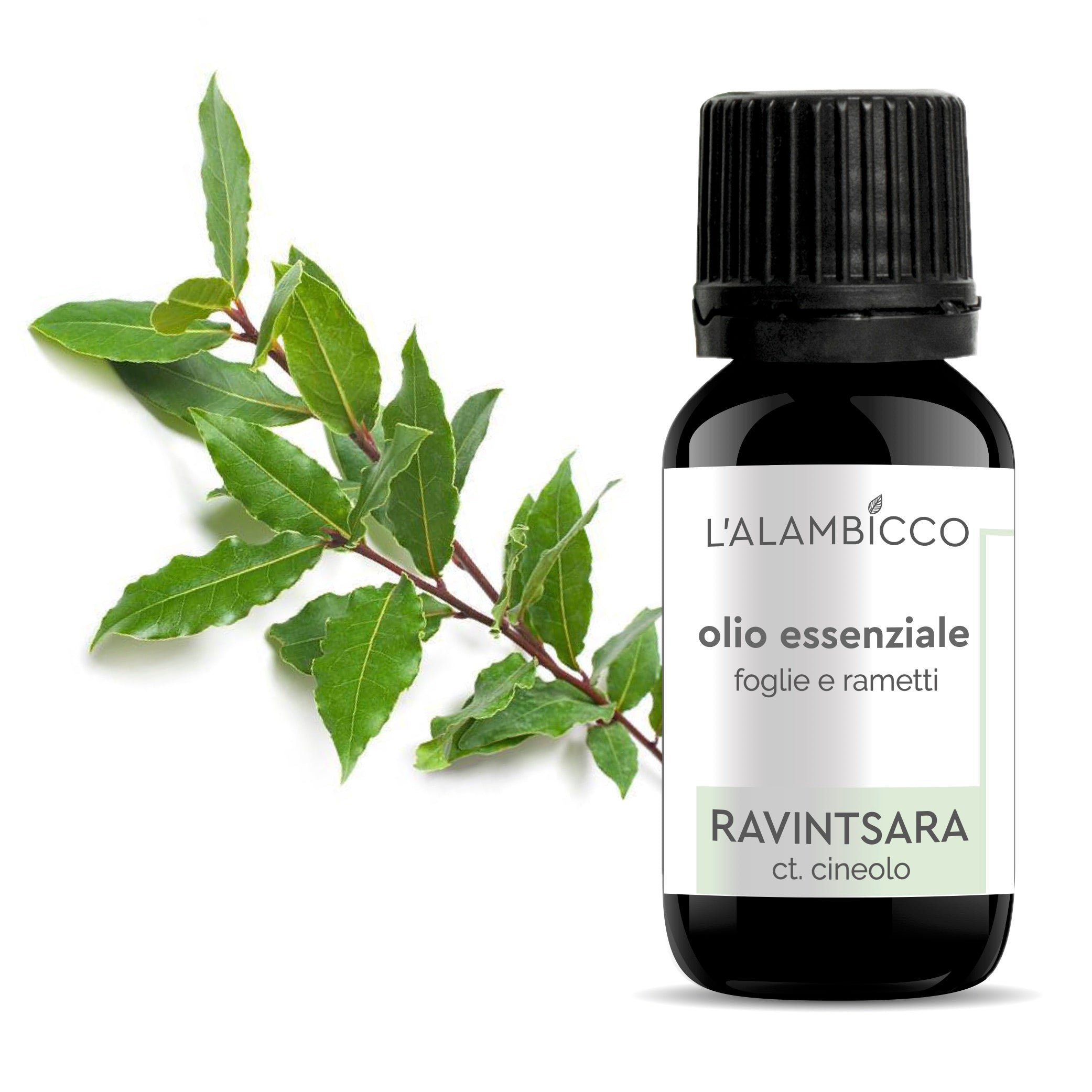 Ravintsara OLIO ESSENZIALE DI RAVINTSARA CT. CINEOLO 10 ML – Alambicco Lab