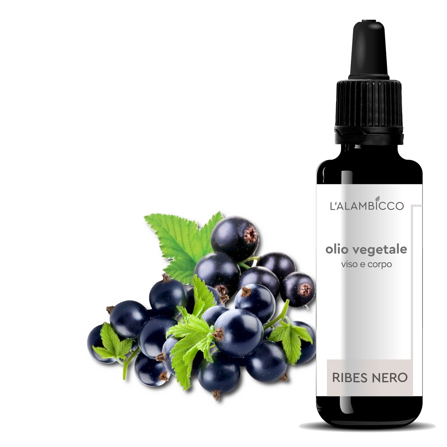 OLIO DI RIBES NERO 50 ml